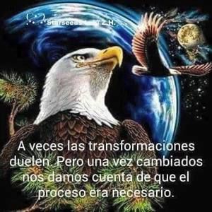 Meet your Posher, Ely